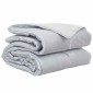 vidaXL Κουβέρτα ολόκληρου του χρόνου 155 x 220 cm 300 gsm Ασημί