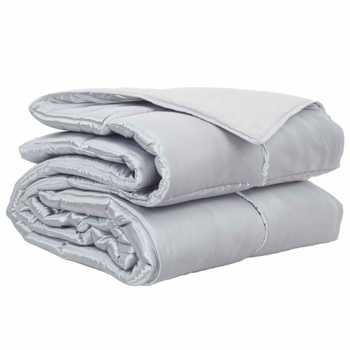 vidaXL Κουβέρτα ολόκληρου του χρόνου 220 x 240 cm 300 gsm Ασημί