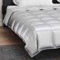 vidaXL Κουβέρτα ολόκληρου του χρόνου 220 x 240 cm 300 gsm Ασημί