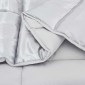 vidaXL Κουβέρτα ολόκληρου του χρόνου 220 x 260 cm 300 gsm Ασημί