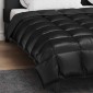 vidaXL Χειμερινό Παπλωματοθήκη 200 x 240 cm 450 gsm Μαύρο