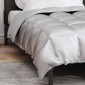 vidaXL Χειμερινό Παπλωματοθήκη 135 x 220 εκ. 450 gsm Ασημί