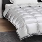 vidaXL Χειμερινό Παπλωματοθήκη 220 x 260 cm 450 gsm Ασημί