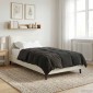 vidaXL Κουβέρτα ολόκληρου του χρόνου 155 x 220 cm 4 Εποχές Ανθρακί