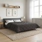 vidaXL Χειμερινό Παπλωματοθήκη 200 x 220 cm Χειμώνας Ανθρακί