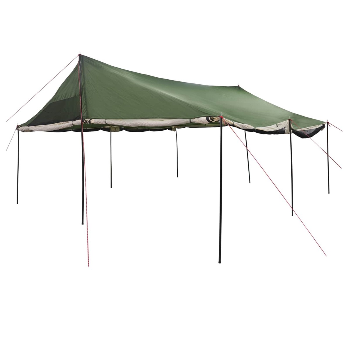 vidaXL Οικογενειακή Σκηνή με στέγη Πράσινο 600 x 400 x 268 εκ.