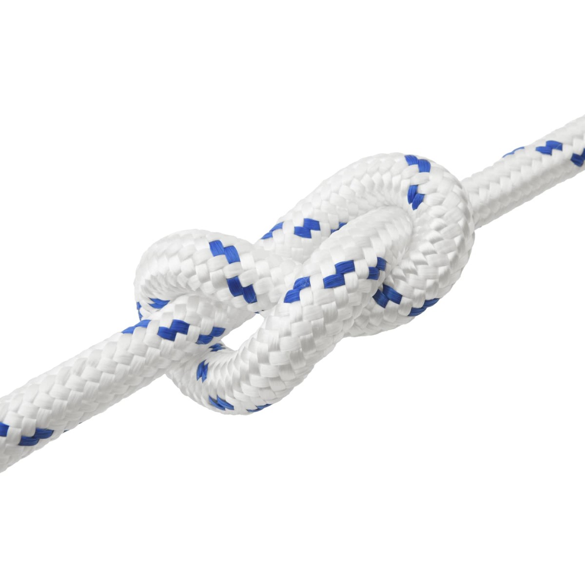vidaXL Σχοινί Boat 4 mm 25 m Λευκό και Μπλε