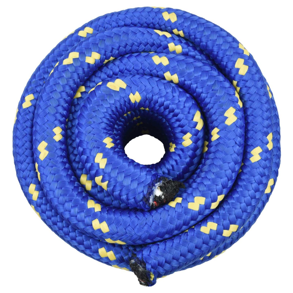 vidaXL Σχοινί Boat 4 mm 10 m Μπλε