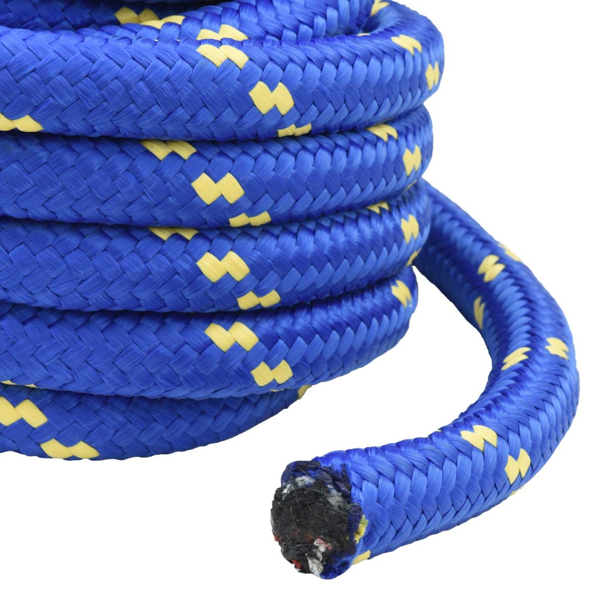 vidaXL Σχοινί Boat 6 mm 5 m Μπλε