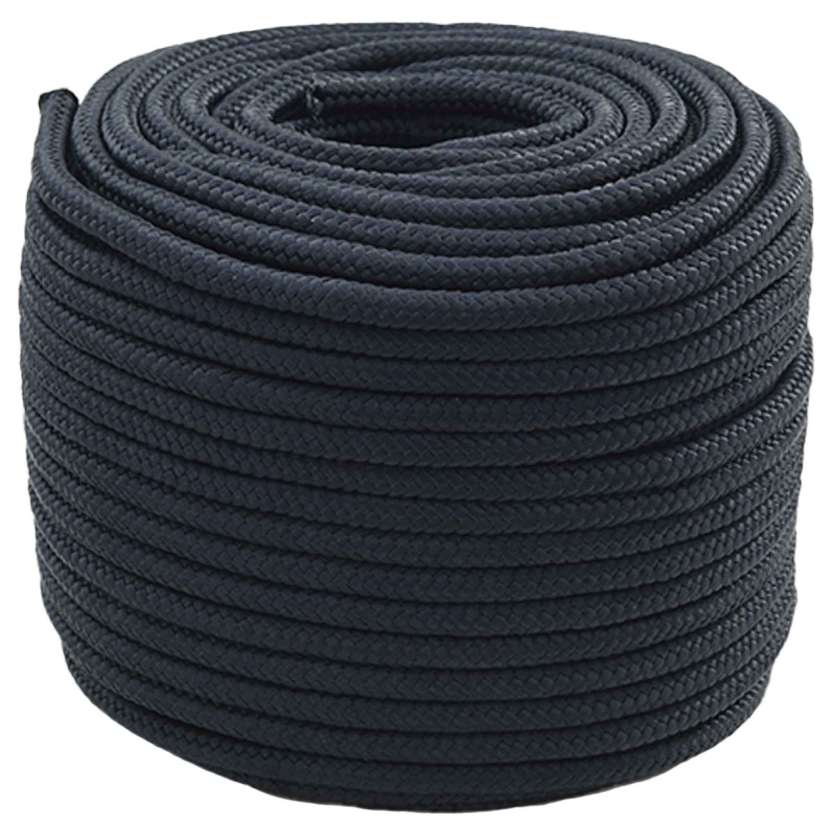vidaXL Σχοινί Boat 1.6 mm 100 m Βασιλικό Μπλε Πολυεστέρας