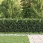 vidaXL Φράχτης με Σπίθες ASTEN 200 x 110 εκ Μαύρο