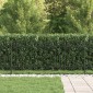 vidaXL Φράχτης με Σπίθες ASTEN 200 x 130 εκ Μαύρο