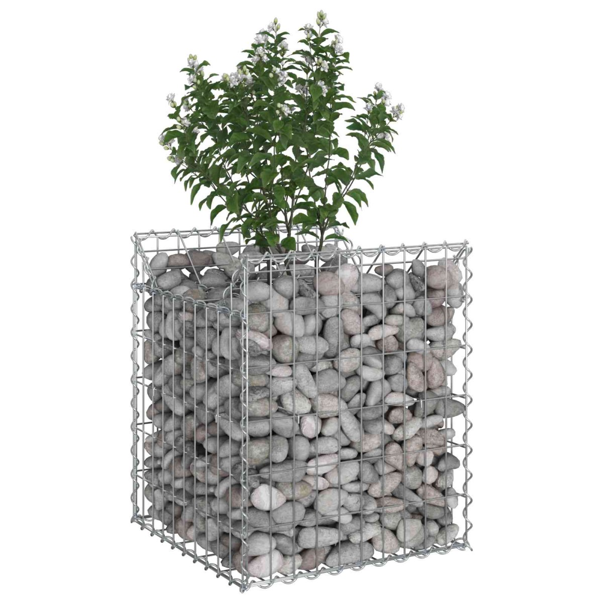 vidaXL Ανασηκωμένο κρεβάτι gabion 50 x 50 x 60 cm Ασημί