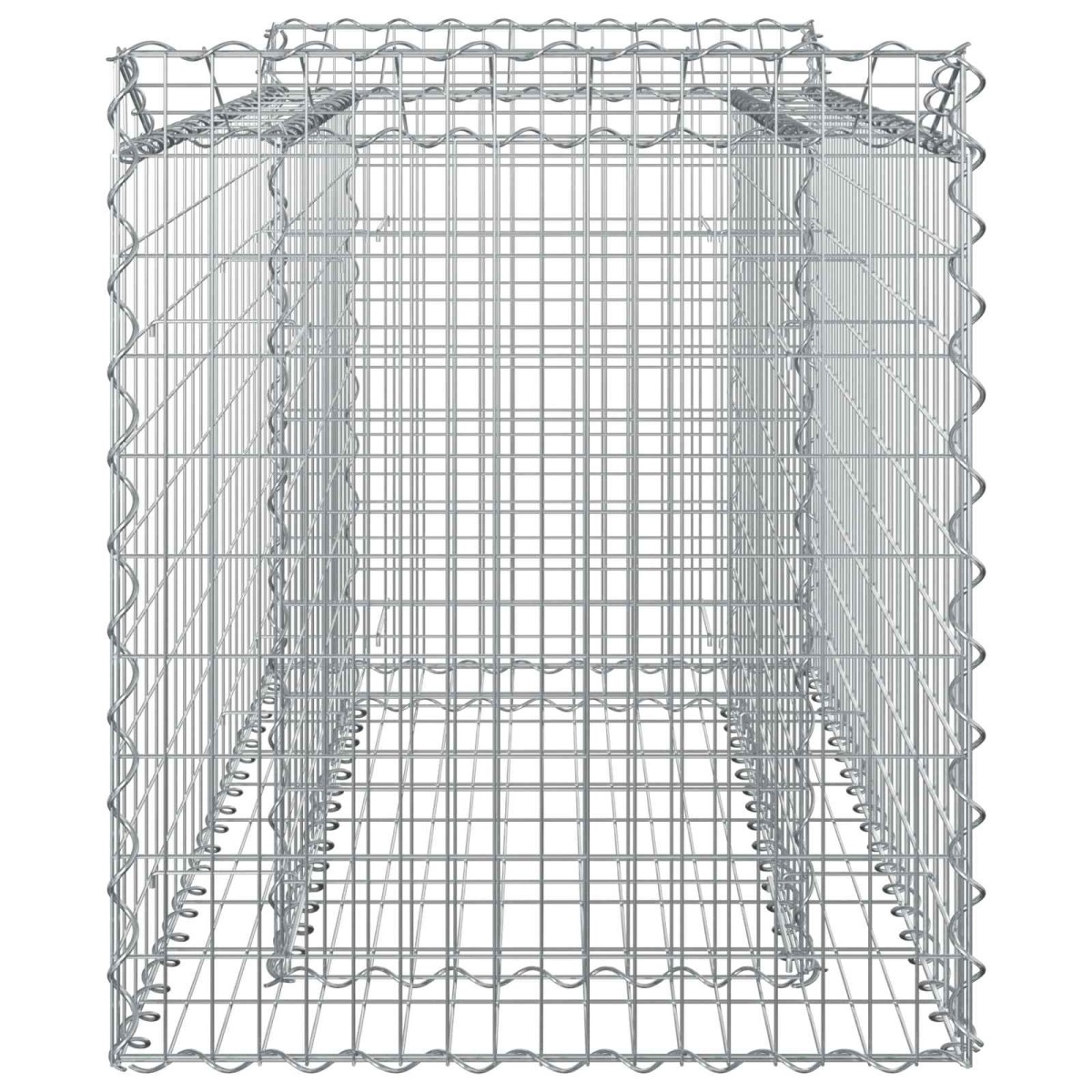 vidaXL Ανασηκωμένο κρεβάτι gabion 50 x 100 x 60 εκ Ασημί