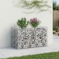 vidaXL Ανασηκωμένο κρεβάτι gabion 50 x 100 x 60 εκ Ασημί