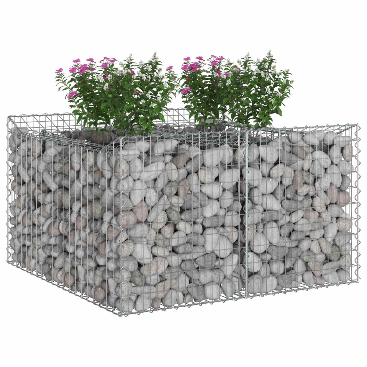 vidaXL Ανασηκωμένο κρεβάτι gabion 100 x 100 x 60 εκ. Ασημί