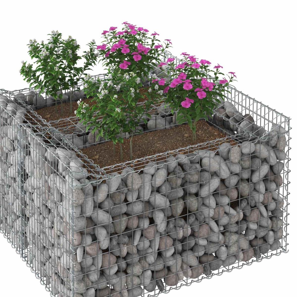 vidaXL Ανασηκωμένο κρεβάτι gabion 100 x 100 x 60 εκ. Ασημί