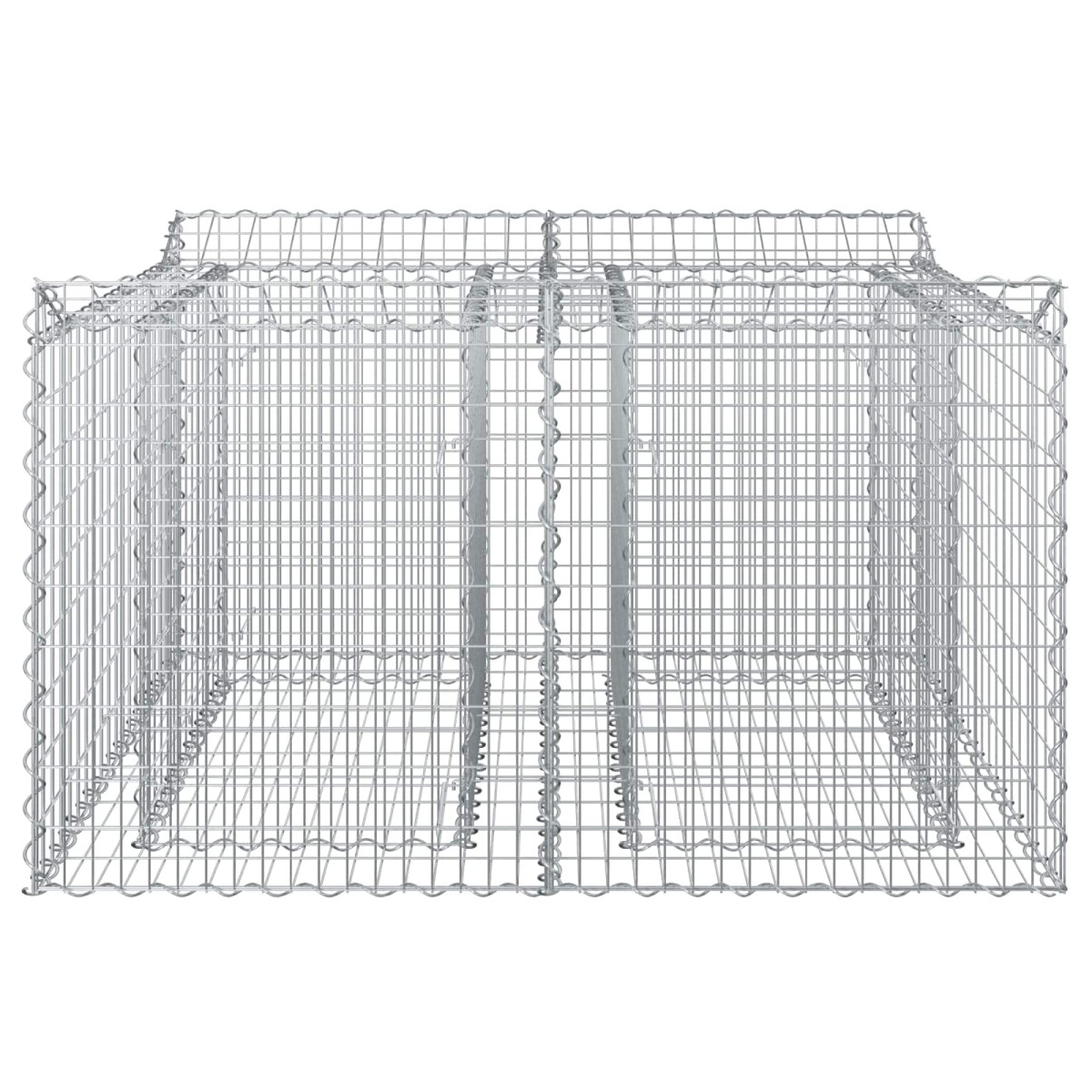 vidaXL Ανασηκωμένο κρεβάτι gabion 100 x 100 x 60 εκ. Ασημί