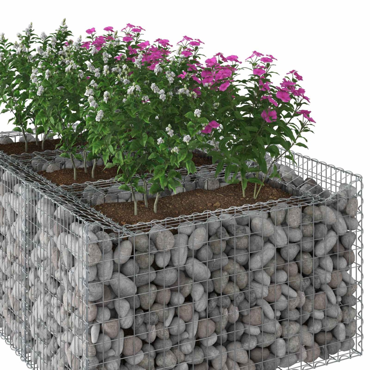 vidaXL Ανασηκωμένο κρεβάτι gabion 150 x 100 x 60 εκ Ασημί