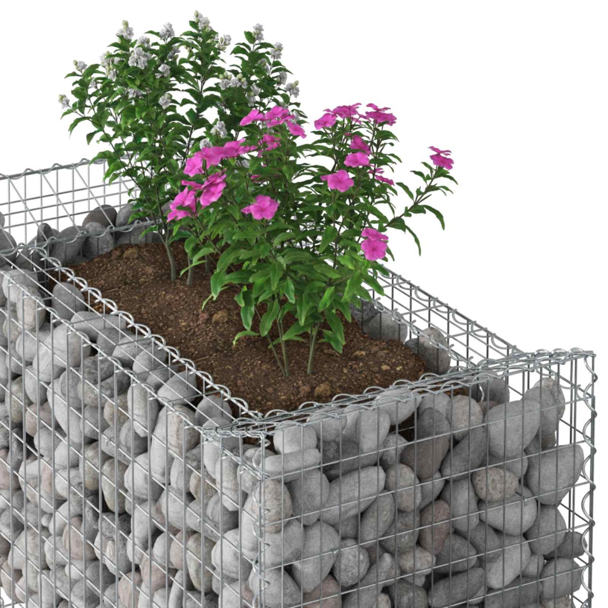 vidaXL Ανασηκωμένο κρεβάτι gabion 50 x 100 x 100 εκ Ασημί