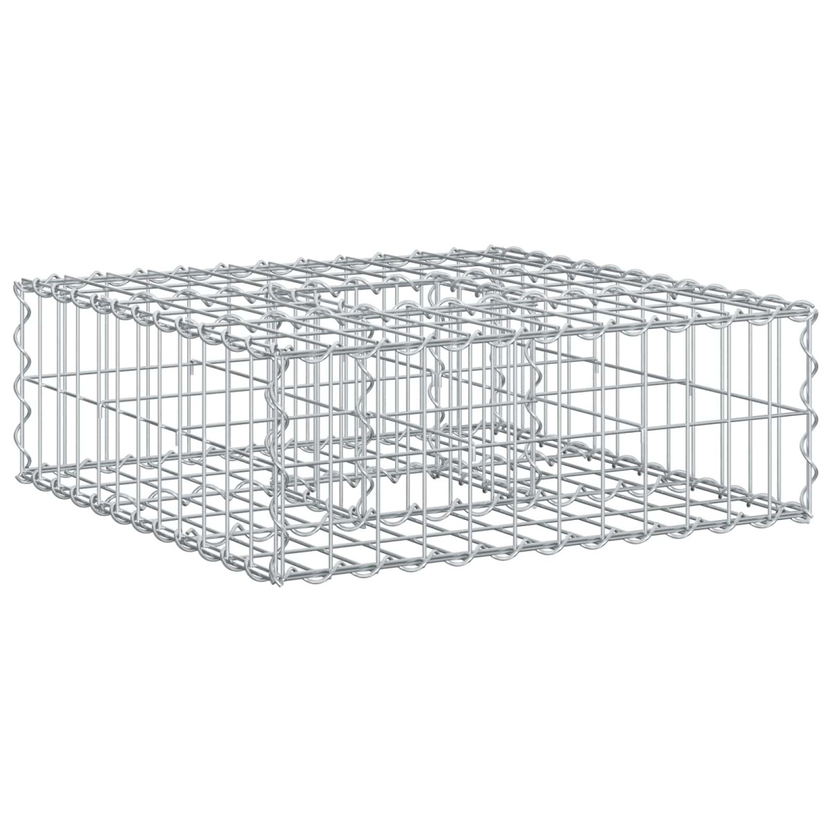 vidaXL Ανασηκωμένο κρεβάτι gabion 60 x 60 x 20 εκ Ασημί
