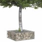 vidaXL Ανασηκωμένο κρεβάτι gabion 60 x 60 x 20 εκ Ασημί