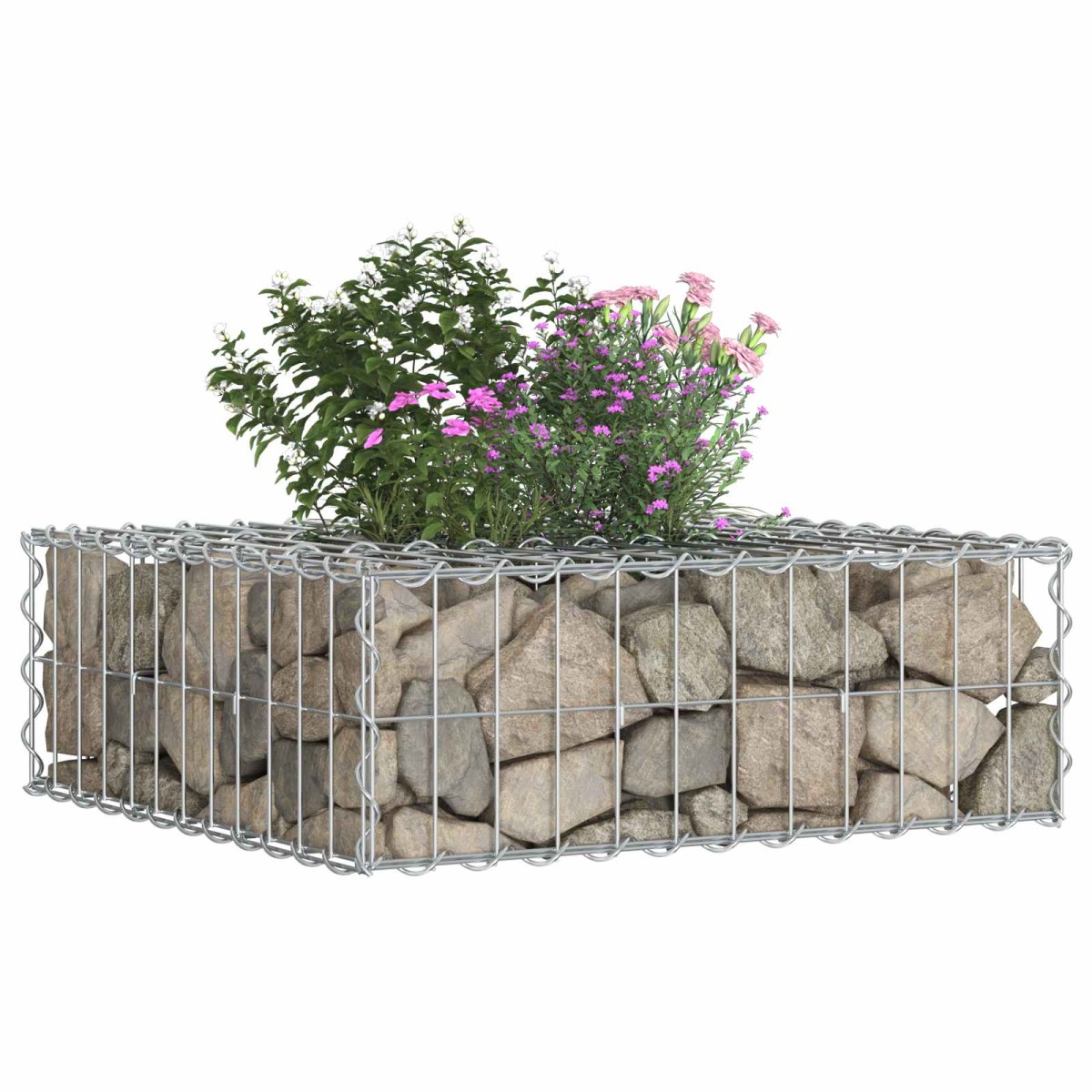 vidaXL Ανασηκωμένο κρεβάτι gabion 60 x 60 x 20 εκ Ασημί