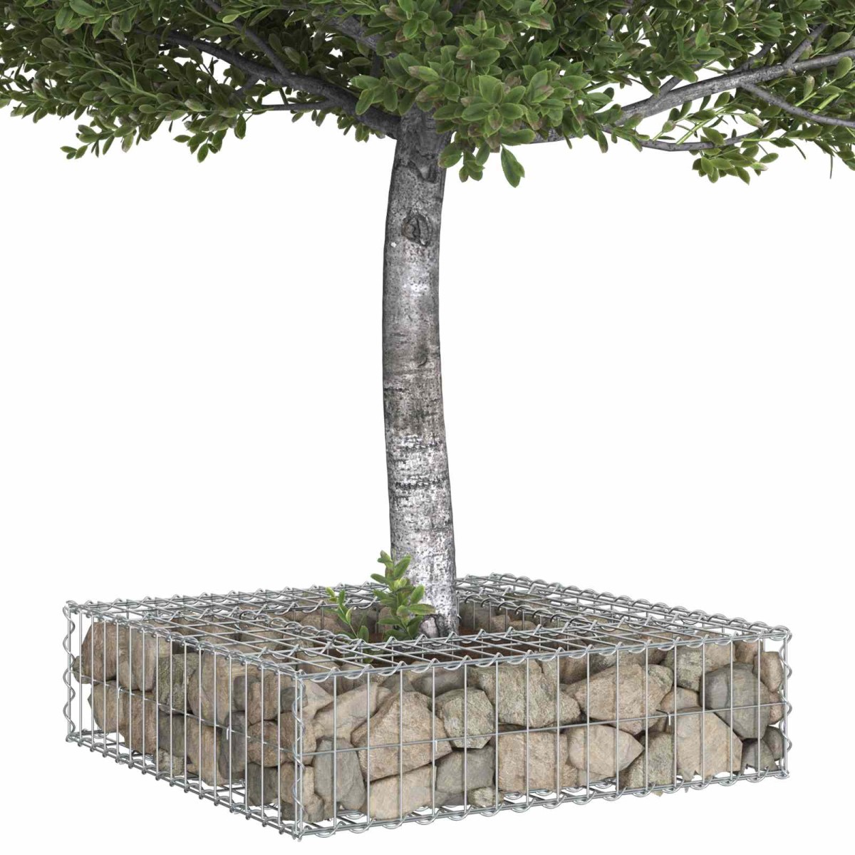 vidaXL Ανασηκωμένο κρεβάτι gabion 80 x 80 x 20 cm Ασημί