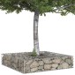 vidaXL Ανασηκωμένο κρεβάτι gabion 100 x 100 x 20 cm Ασημί