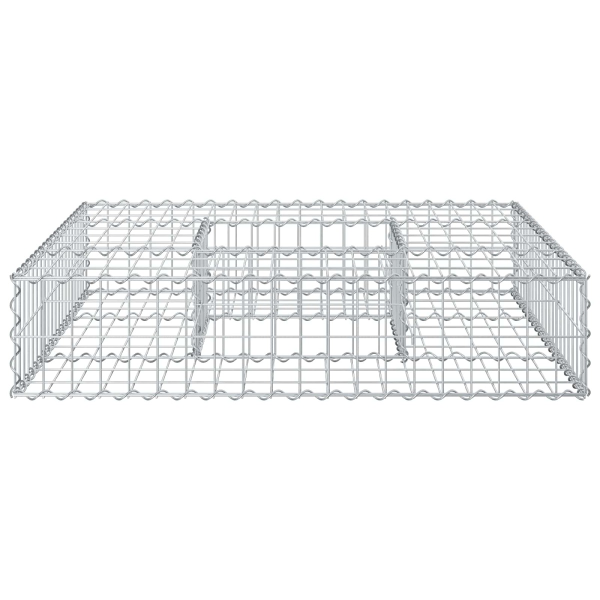 vidaXL Ανασηκωμένο κρεβάτι gabion 100 x 100 x 20 cm Ασημί