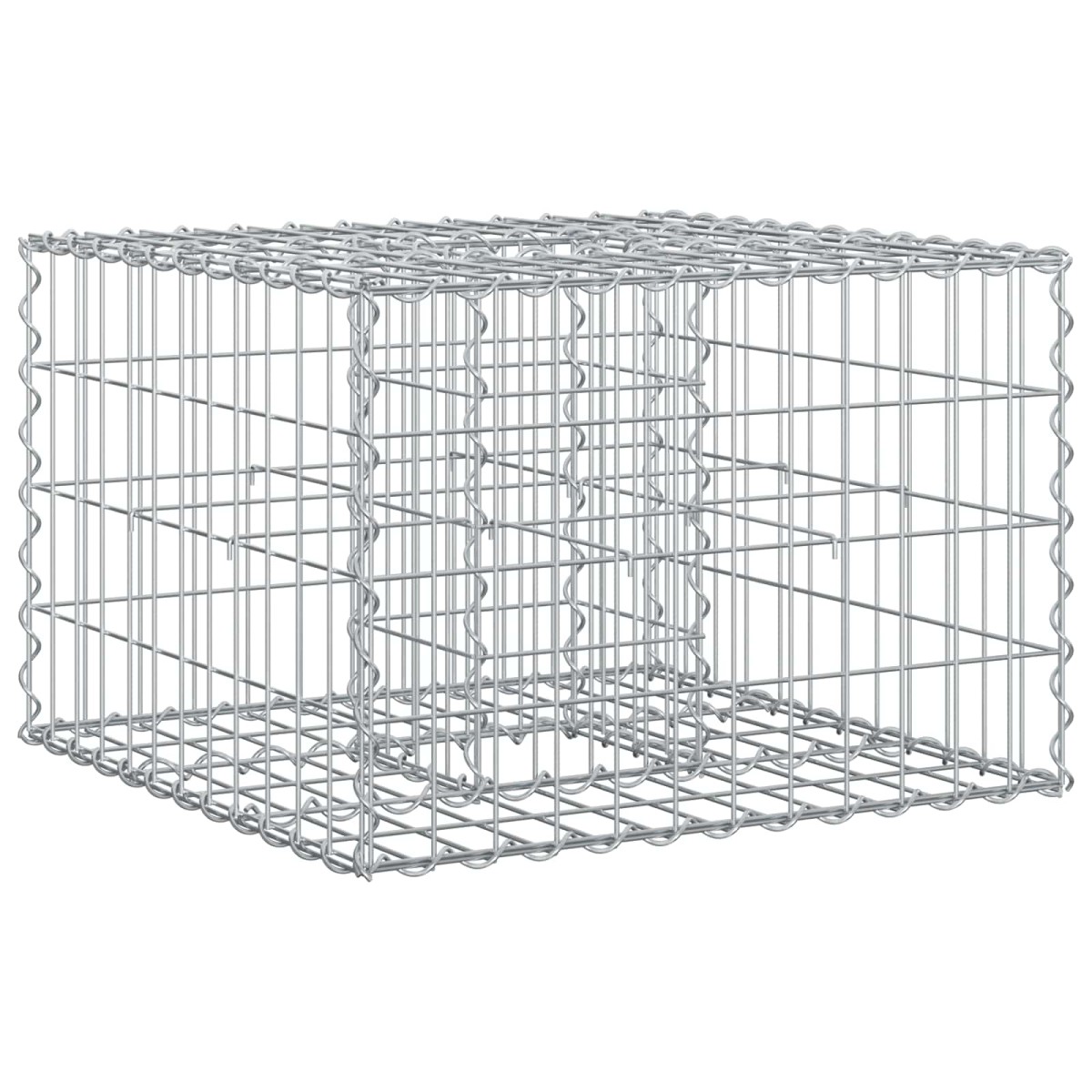 vidaXL Ανασηκωμένο κρεβάτι gabion 60 x 60 x 40 cm Ασημί