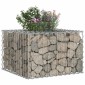 vidaXL Ανασηκωμένο κρεβάτι gabion 60 x 60 x 40 cm Ασημί