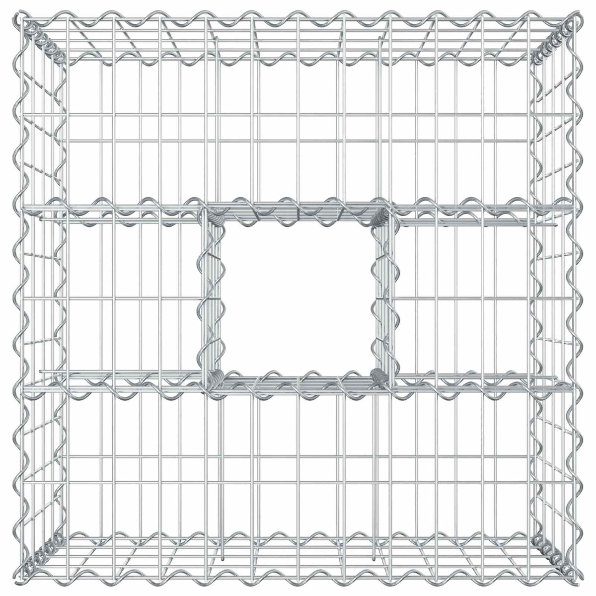 vidaXL Ανασηκωμένο κρεβάτι gabion 60 x 60 x 40 cm Ασημί