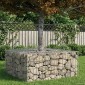 vidaXL Ανασηκωμένο κρεβάτι gabion 100 x 100 x 40 cm Ασημί