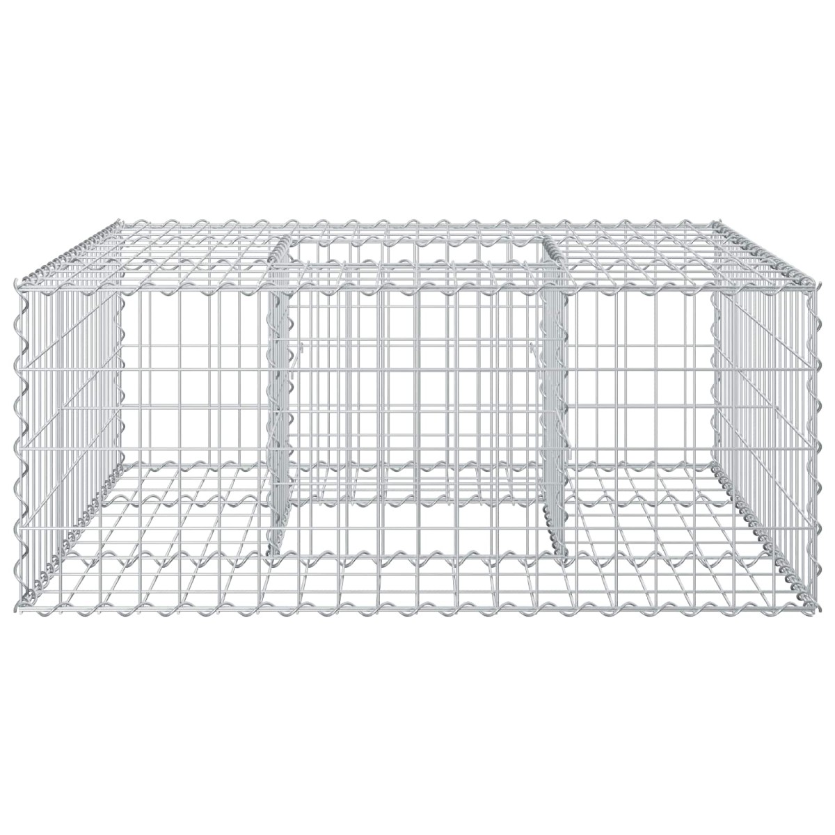 vidaXL Ανασηκωμένο κρεβάτι gabion 100 x 100 x 40 cm Ασημί