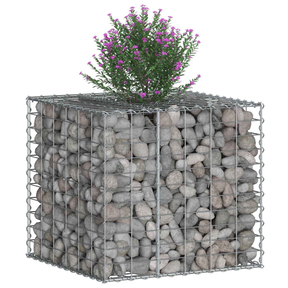 vidaXL Ανασηκωμένο κρεβάτι gabion 60 x 60 x 55 εκ Ασημί