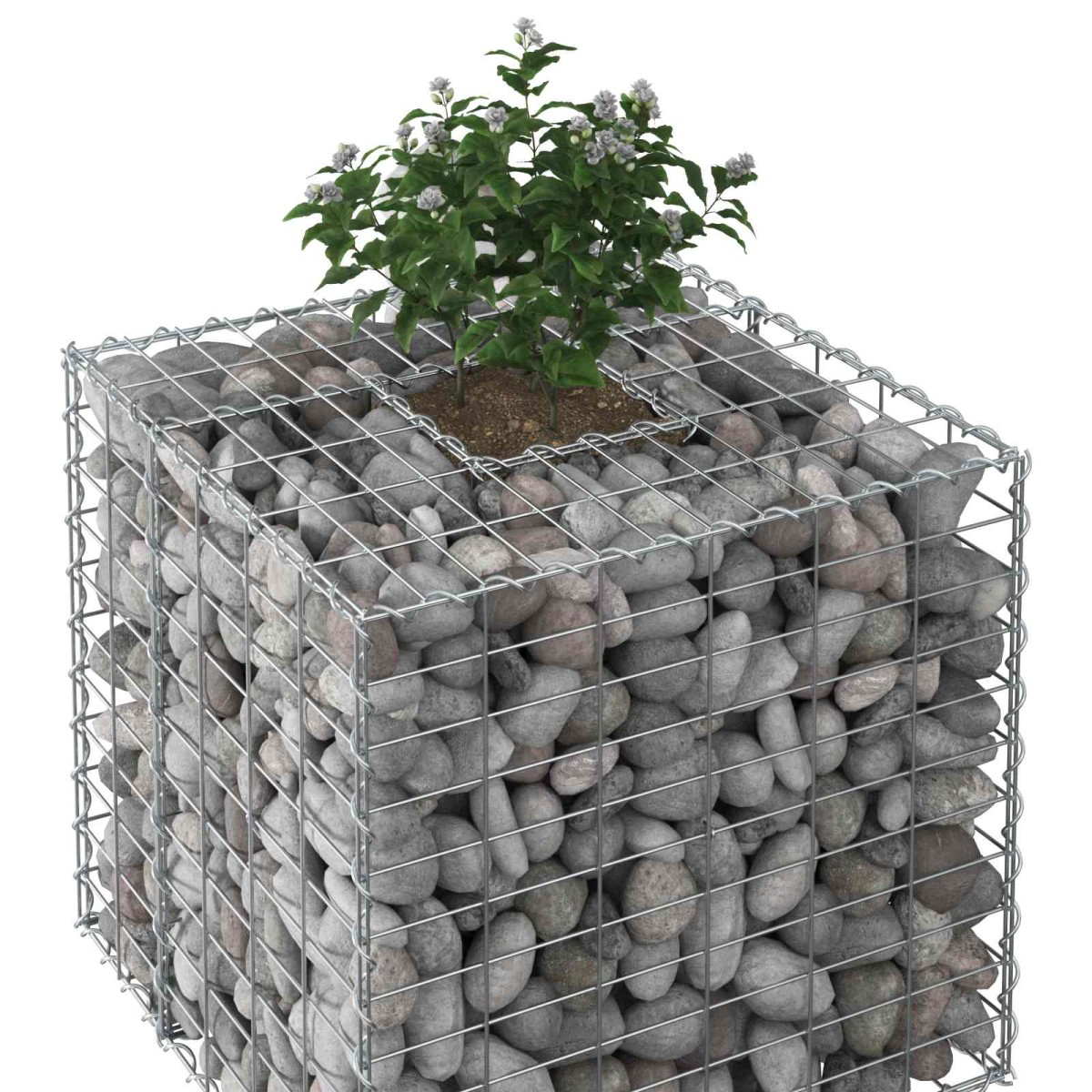 vidaXL Ανασηκωμένο κρεβάτι gabion 60 x 60 x 55 εκ Ασημί