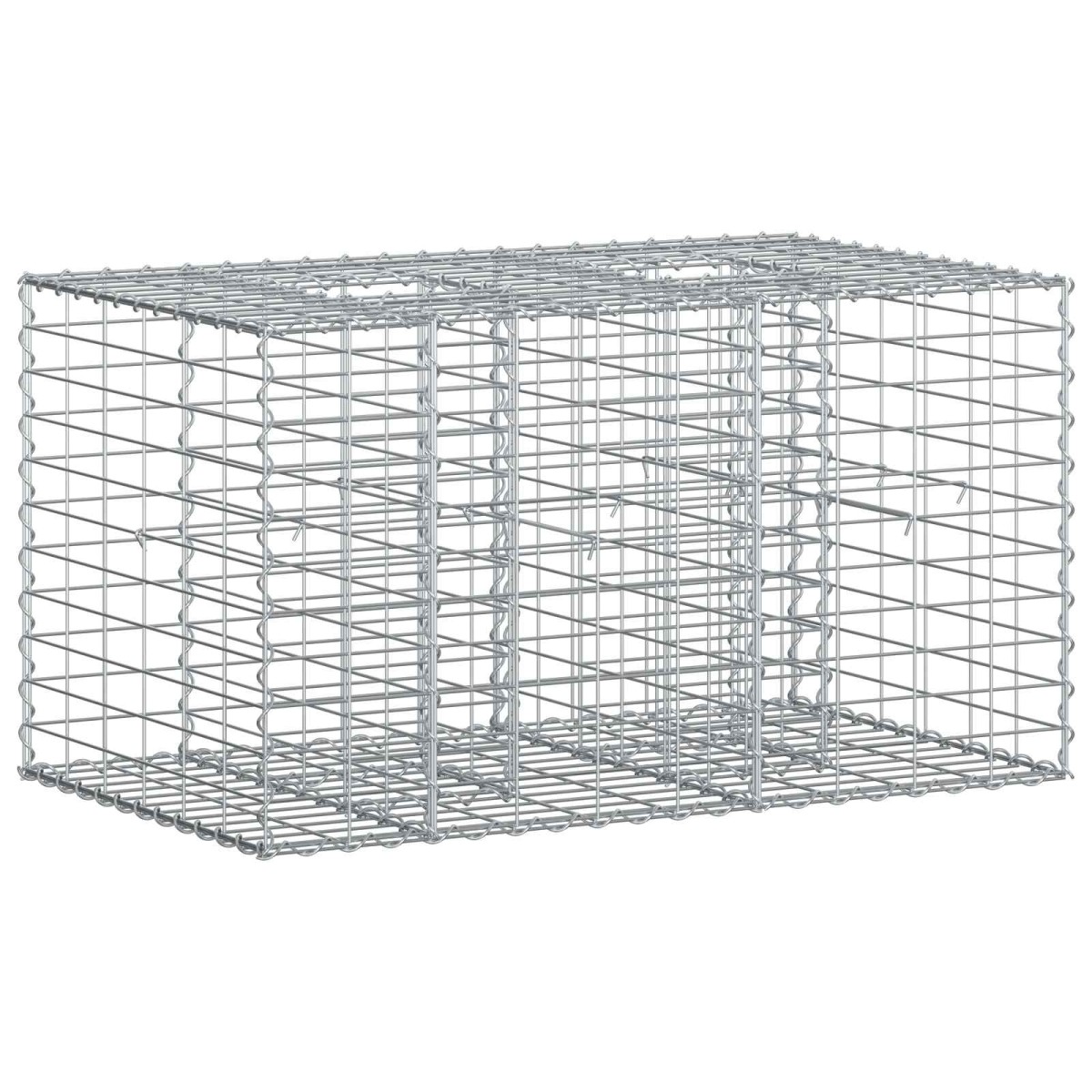 vidaXL Ανασηκωμένο κρεβάτι gabion 100 x 60 x 55 εκ Ασημί