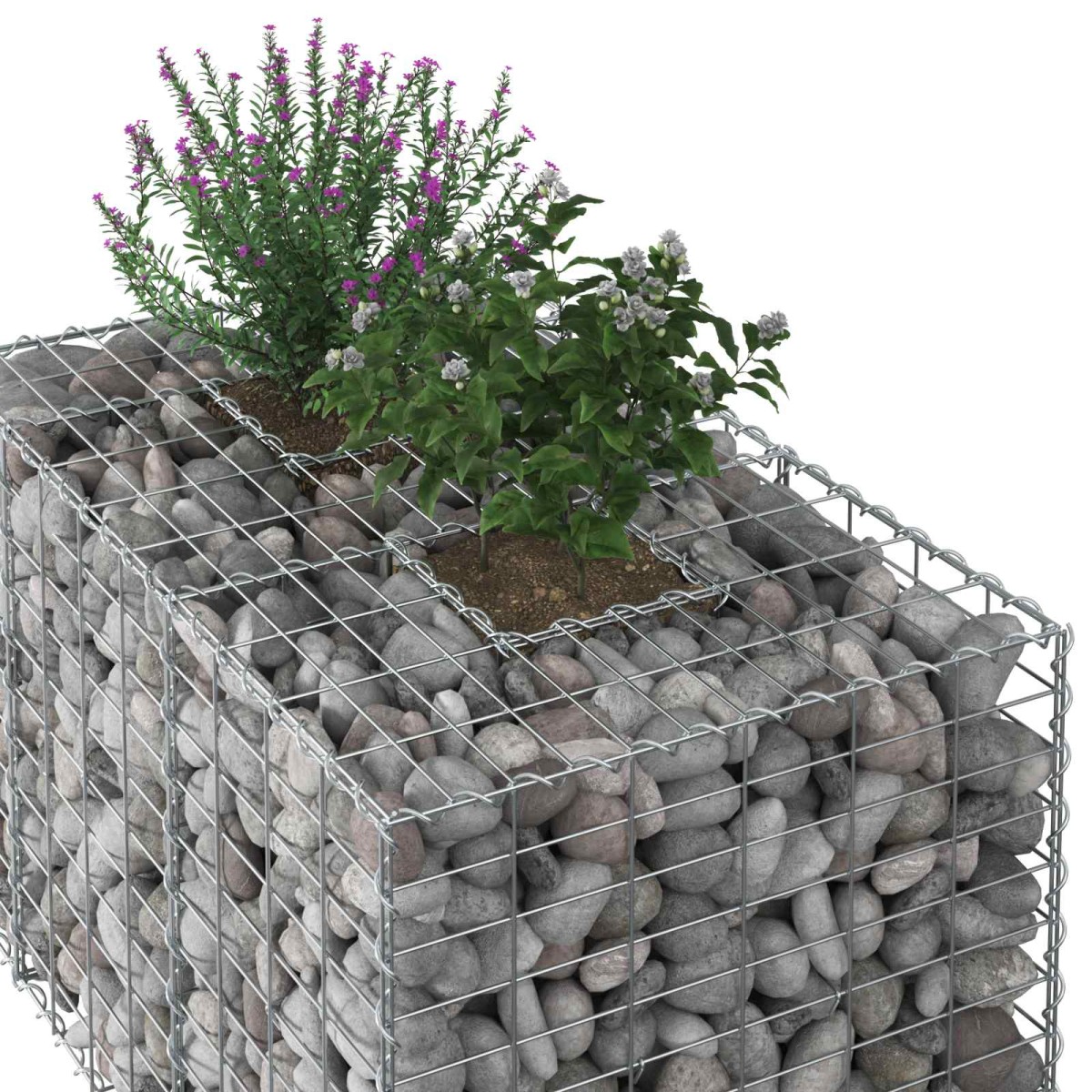 vidaXL Ανασηκωμένο κρεβάτι gabion 100 x 60 x 55 εκ Ασημί