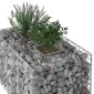 vidaXL Ανασηκωμένο κρεβάτι gabion 100 x 60 x 55 εκ Ασημί