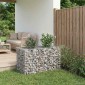 vidaXL Ανασηκωμένο κρεβάτι gabion 100 x 60 x 55 εκ Ασημί