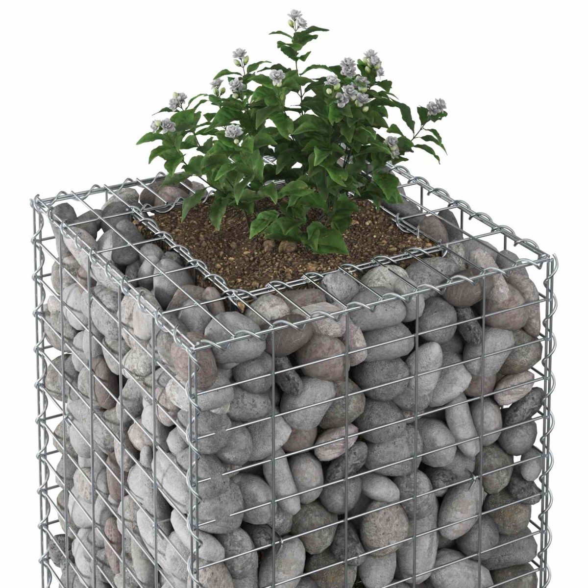 vidaXL Ανασηκωμένο κρεβάτι gabion 50 x 50 x 80 cm Ασημί