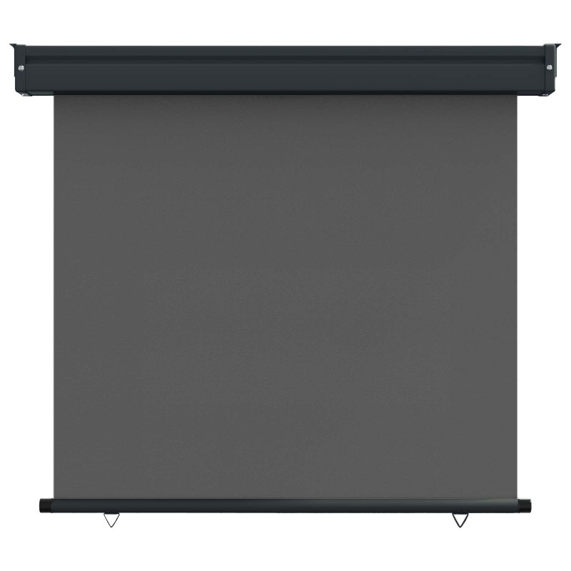 vidaXL Αυλούπα Πλευράς Μπαλκονιού 60 x 250 εκ.