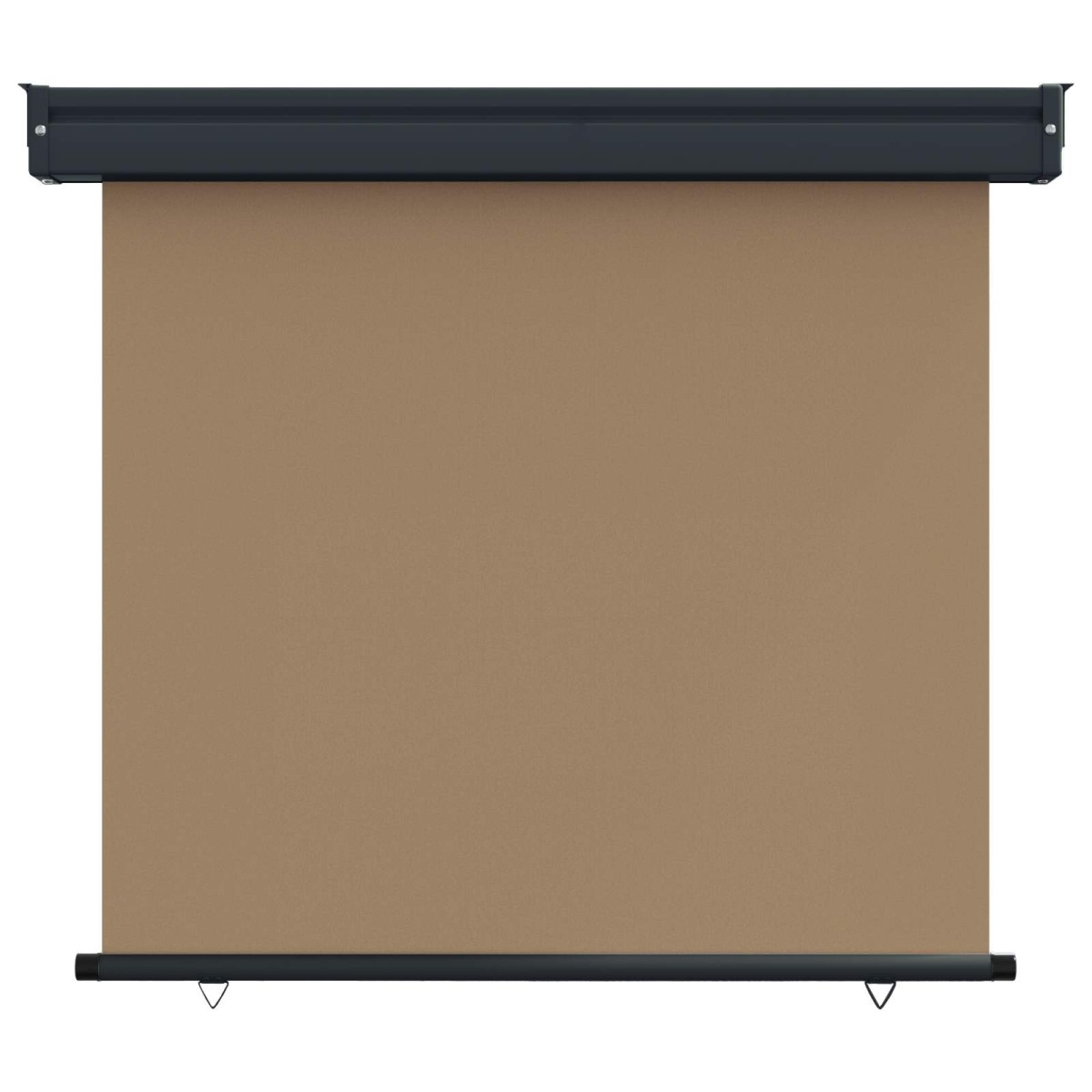 vidaXL Αυλούπα Πλευράς Μπαλκονιού 100 x 250 cm