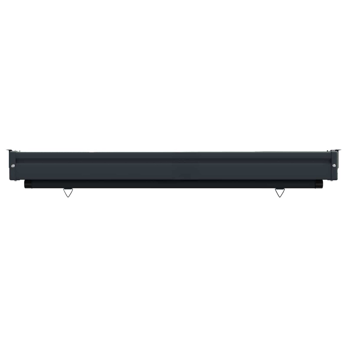 vidaXL Αυλούπα Πλευράς Μπαλκονιού 100 x 250 cm