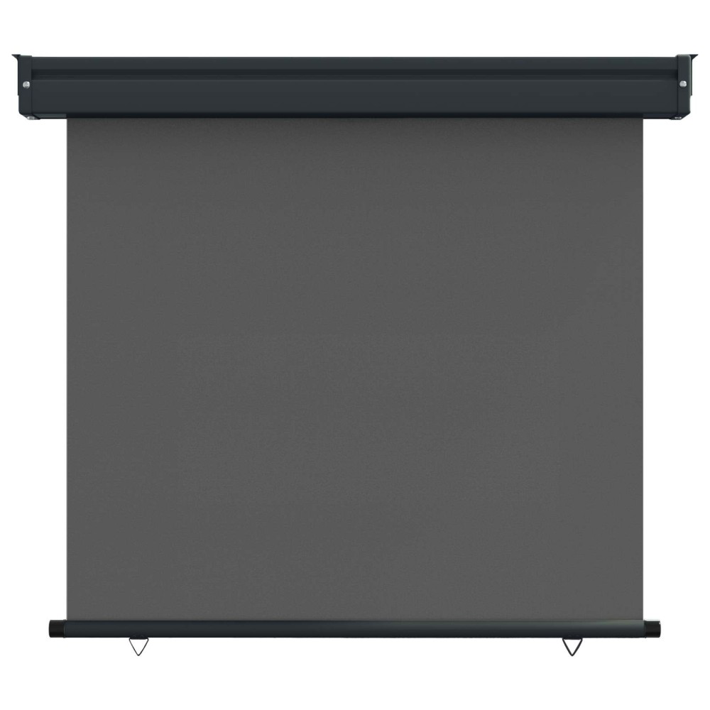 vidaXL Αυλούπα Πλευράς Μπαλκονιού 100 x 250 cm