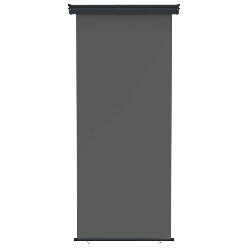 vidaXL Αυλούπα Πλευράς Μπαλκονιού 100 x 250 cm