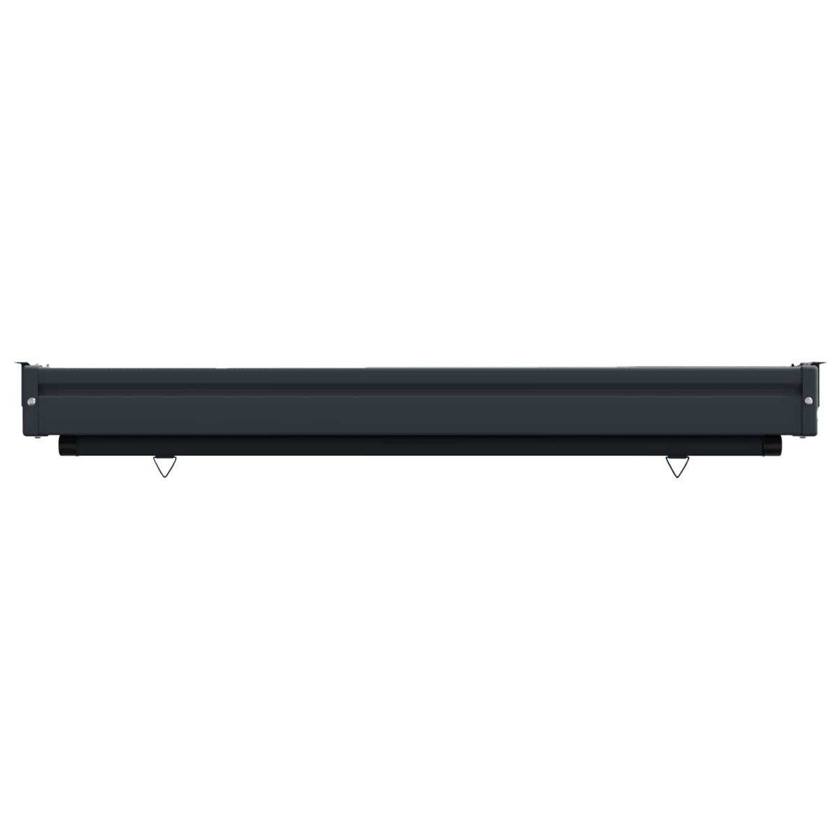 vidaXL Αυλούπα Πλευράς Μπαλκονιού 100 x 250 cm