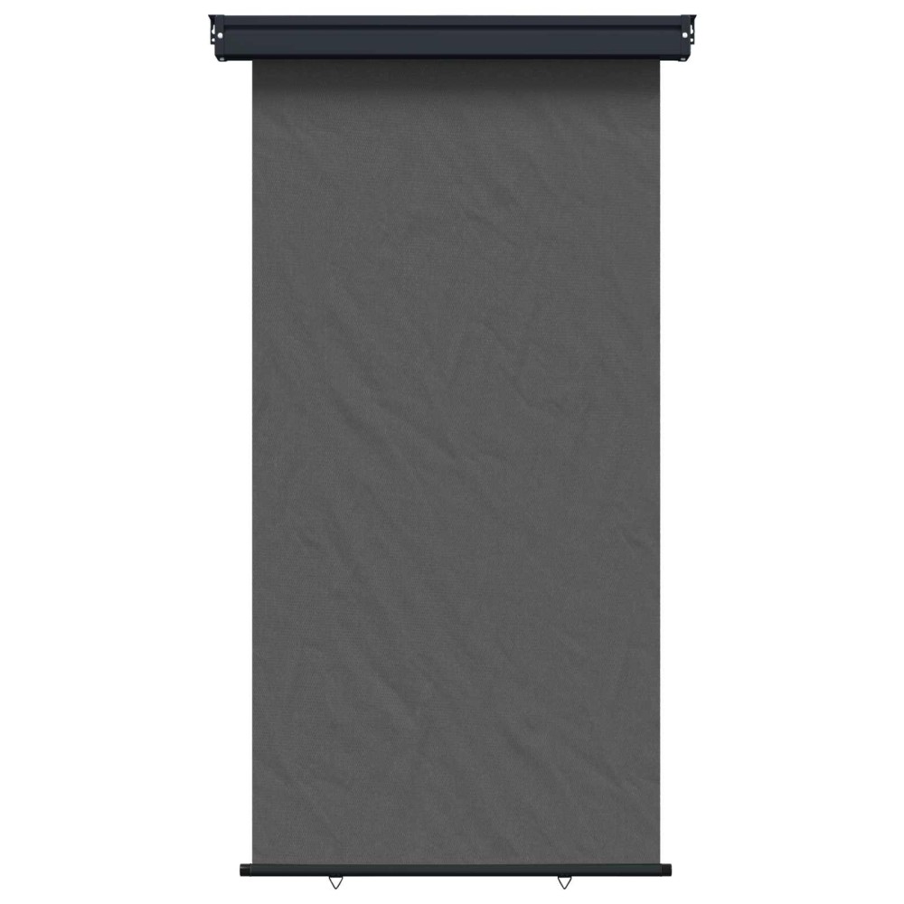 vidaXL Αυλούπα Πλευράς Μπαλκονιού 117 x 250 εκ