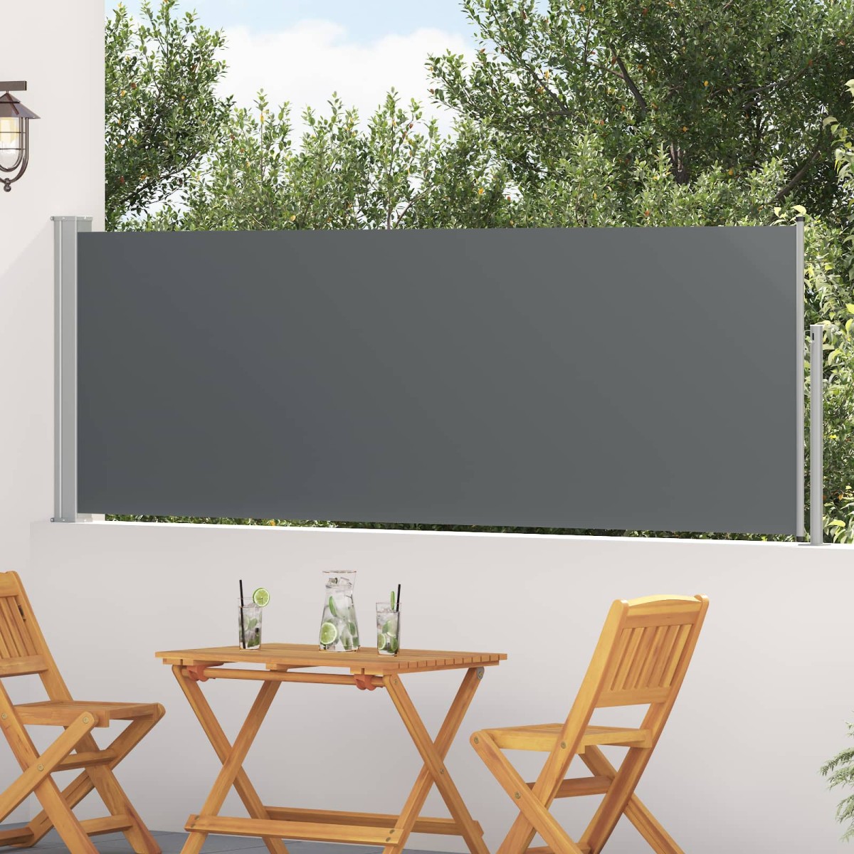 vidaXL Ανακλινόμενος Πλευρικός Απλώστρα 300 x 100 cm Πολυεστέρας